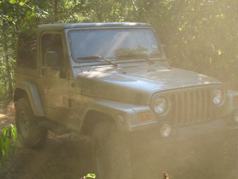 1993 Ford Bronco - Dusty...