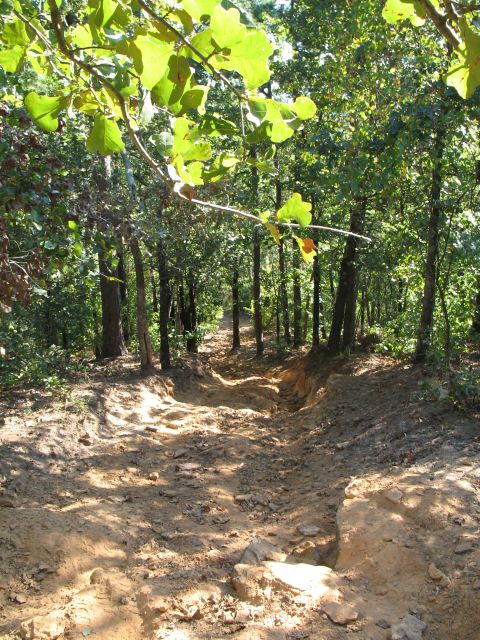 1993 Ford Bronco - Typical Barnwell hillclimb with ~2ft ledge at the top.