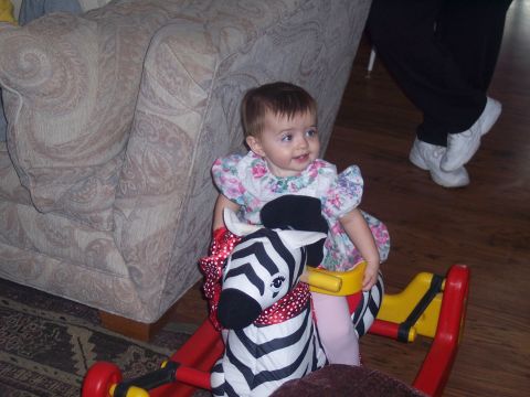 1972 Ford Ranchero - A baby enjoys playtime on a zebra rocking toy indoors.