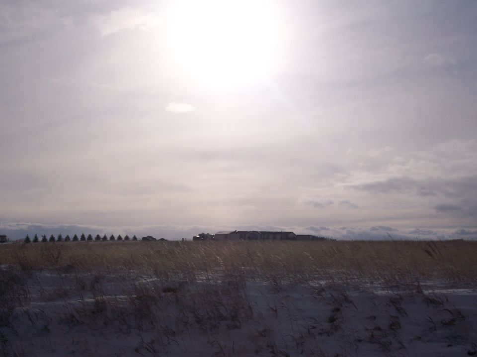 Distant vehicles on a horizon line under a bright, hazy sun