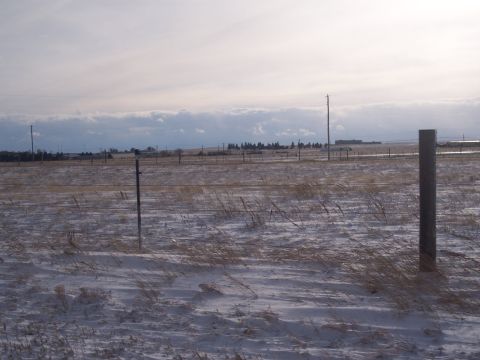 1972 Ford Ranchero - A desolate winter landscape with sparse vegetation and a fence line stretching across the horizon.