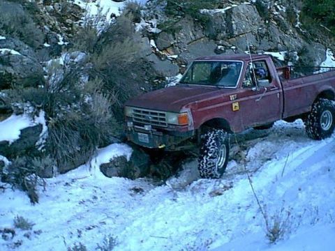 1989 Ford F-250 photo