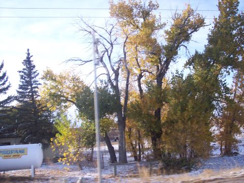 1972 Ford Ranchero - A propane tank is visible next to trees with fall foliage and a dusting of snow.