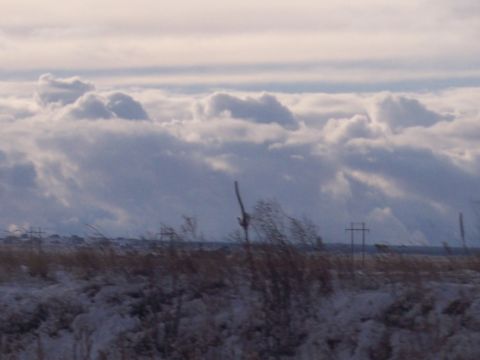 1972 Ford Ranchero - Winter landscape with snow on the ground and dramatic clouds overhead.
