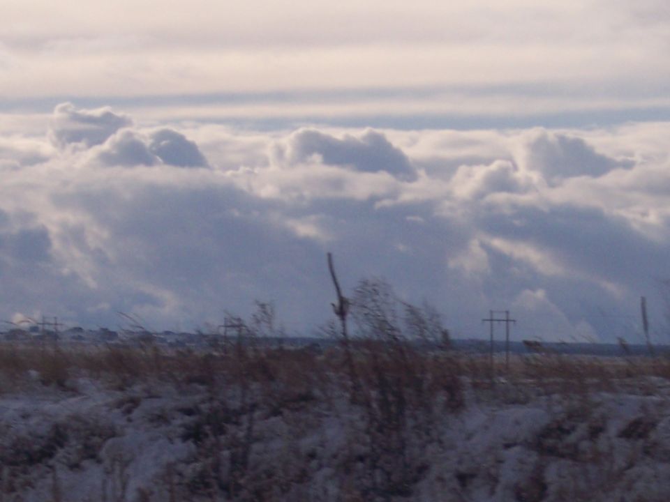Snowy field under a cloudy sky with distant power lines
