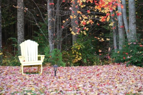 1996 Ford Bronco - A yellow Adirondack chair sits on a ground covered in colorful fallen leaves, surrounded by trees displaying autumn foliage.