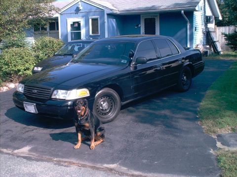 2000 Ford Crown Victoria - 2000 - P71 Crown Vic with Jager
