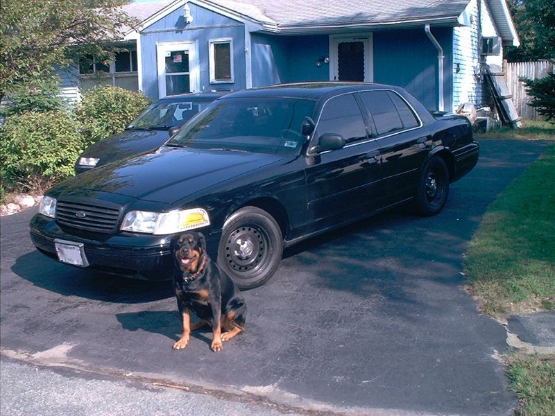 Black Ford Crown Victoria sedan in driveway with a Rottweiler dog sitting in front