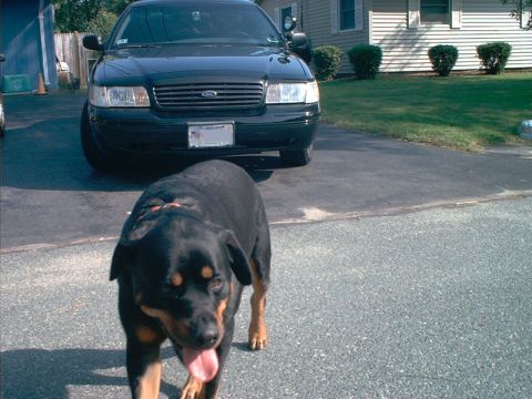 2000 Ford Crown Victoria - What you do not want to see in your rearview mirror.