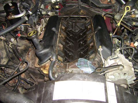1982 Ford LTD Crown Victoria - Lower intake off...