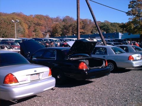 2000 Ford Crown Victoria - Three nice rear ends.