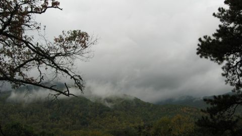 1995 Ford Bronco - not fog. clouds.