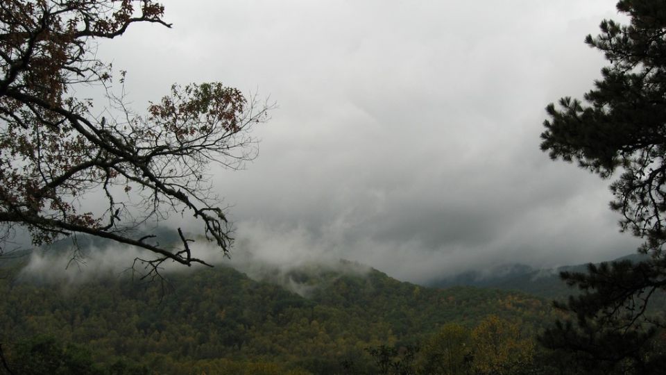not fog. clouds.