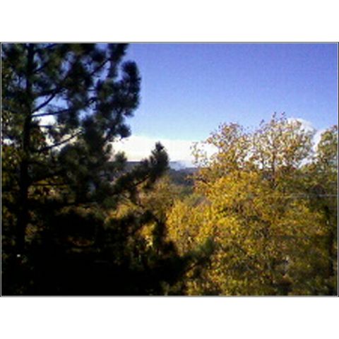 1973 Ford Ranchero - Looking West from 1269 Yellowstone Drive 10:30 am 10-23-07
