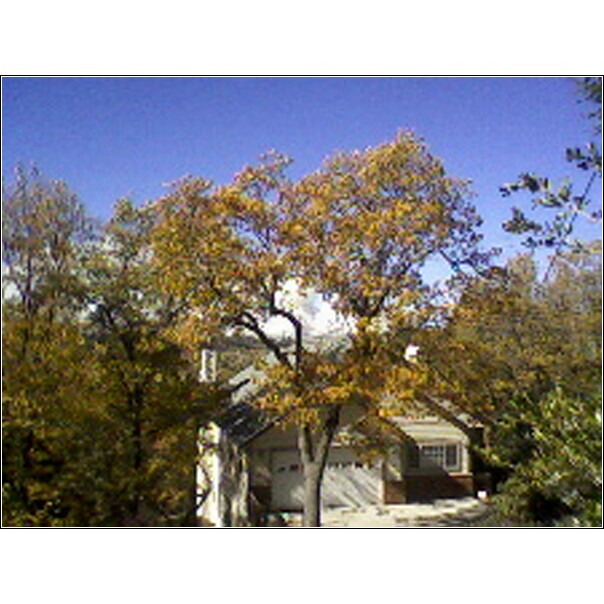 Looking West from 1269 Yellowstone Drive@10:00 AM 10-23-07
