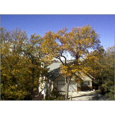 1973 Ford Ranchero - Looking West from 1269 Yellowstone Drive @10:00 AM 10-23-07