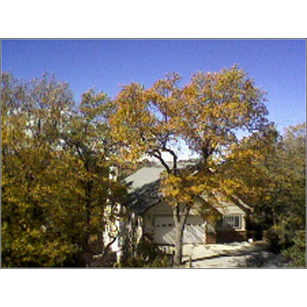 Looking West from 1269 Yellowstone Drive
@10:00 AM 10-23-07