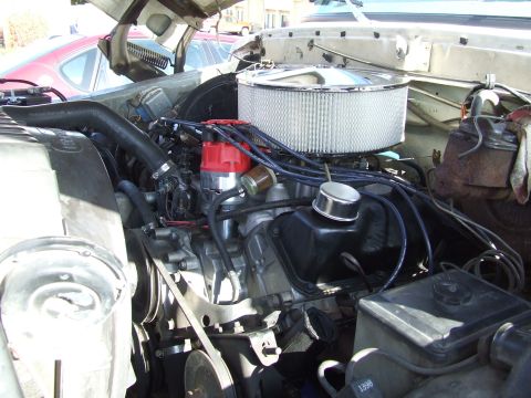 1979 Ford Bronco - Engine bay of a 1979 Ford Bronco, showing the V8 engine, air cleaner, and distributor.