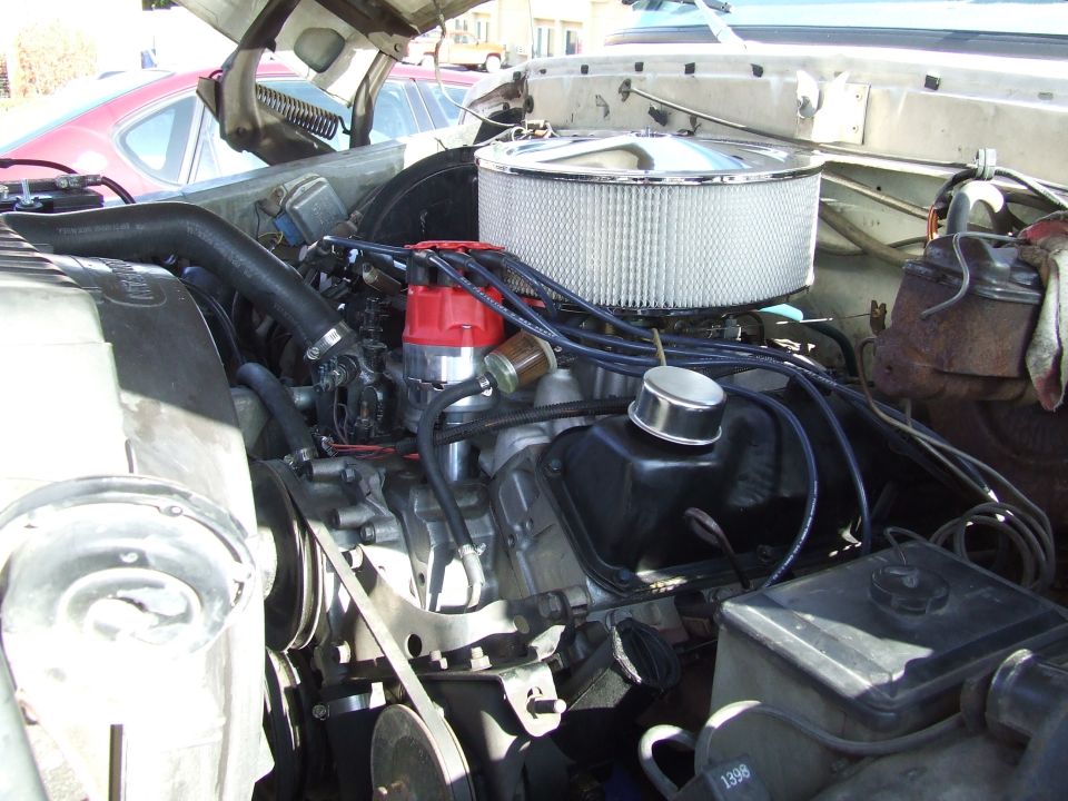 Engine bay of a 1979 Ford Bronco with a V8 engine, chrome air cleaner, and red distributor cap