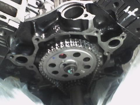 1991 Ford Mustang - This is a close-up view of an engine's timing chain and gears, likely during assembly or repair.