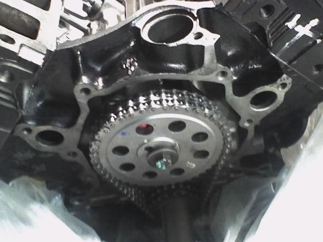 Close-up of engine timing chain and gears