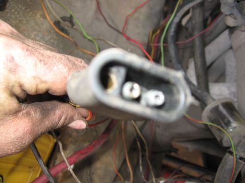 1979 Ford F-150 - A close-up view of a vehicle's wiring harness connector, showing the two metal pins and the surrounding bundle of wires.