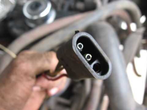 1979 Ford F-150 - Close-up of an automotive electrical connector with visible wiring, likely part of an engine assembly.