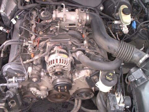 2000 Ford Crown Victoria - V8 engine bay with the serpentine belt removed, exposing the crank pulley, alternator with handwritten marker numbers, water pump and idler…