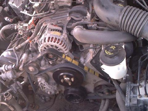 2000 Ford Crown Victoria - Close view of a V8 accessory drive with the serpentine belt installed around the crank pulley, alternator, tensioner and idlers, the belt s…