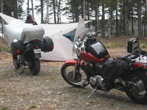 2003 Honda Shadow Aero photo