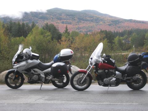 2003 Honda Shadow Aero photo