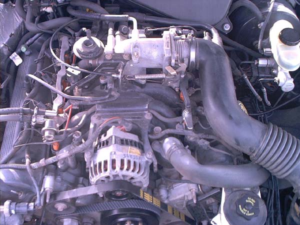 Modular V8 engine bay with intake manifold, throttle body and marked alternator