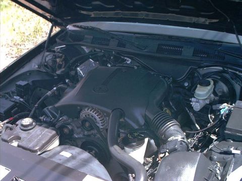 2000 Ford Crown Victoria - Open hood view of a modular V8 engine bay with a large black plastic intake manifold cover bearing a Ford oval, the corrugated air inlet tu…