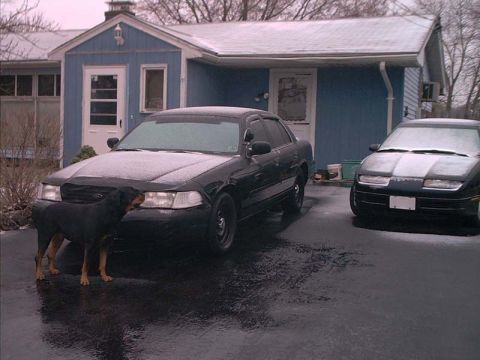 Spring Ice - 2000 Ford Crown Victoria