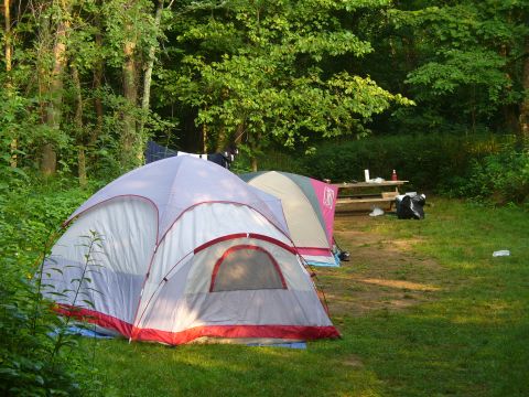 1991 Ford Probe - A campsite scene with tents pitched and a picnic table nearby, surrounded by trees.