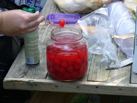 1991 Ford Probe - A hand uses a spoon to take a cherry from a jar on a picnic table.