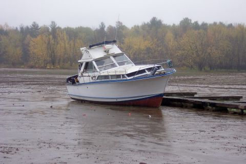 1985 Carver 326 Aft Cabin - A motor yacht sits grounded on a muddy shore during low tide, with a wooden dock nearby.