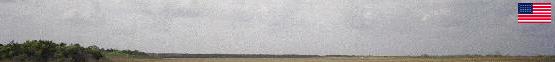 American flag against a cloudy sky, with a distant treeline and field