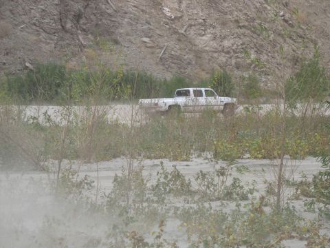 1987 Ford Bronco - A white pickup truck drives on a dirt road, partially obscured by vegetation. The vehicle's body style suggests it is from the 1980s.