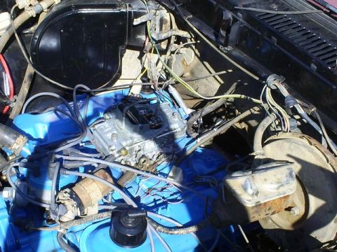 1979 Ford Bronco photo