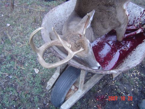 2005 Dodge 1500 photo