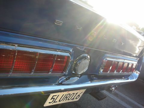 1998 Ford Crown Victoria - Rear tail panel of a classic Shelby Mustang lit by sun glare, with SHELBY lettering and plate 5LURO16.