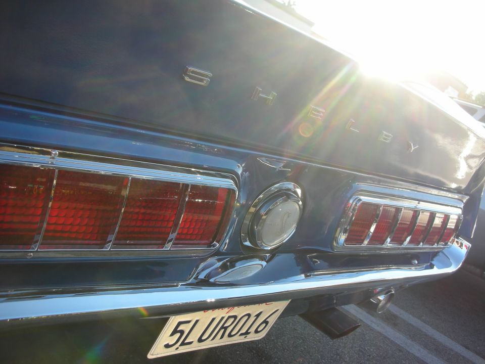 Rear tail panel of a Shelby Mustang with SHELBY lettering and plate 5LURO16