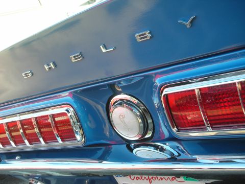 1998 Ford Crown Victoria - Close-up of a blue Shelby Mustang rear panel showing chrome SHELBY lettering, tail lights and a cobra fuel cap.