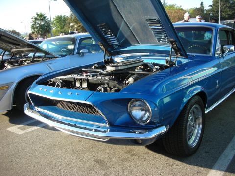 1998 Ford Crown Victoria - Blue Shelby Mustang fastback with its hood raised, engine on display, parked among classics at a morning meet.