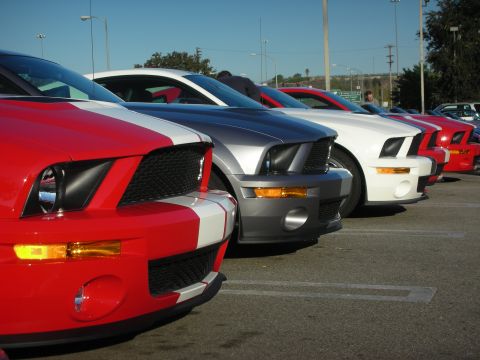 1998 Ford Crown Victoria - Row of late-model Shelby Mustangs lined up front-on in red, silver and white, all with racing stripes.