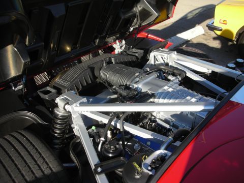 1998 Ford Crown Victoria - supercharged engine sits in a bay crossed by white tubular braces, with coilover springs and silver intake plumbing visible.
