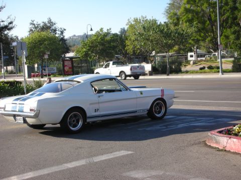 1998 Ford Crown Victoria - white classic Shelby Mustang fastback marked with blue stripes and a red side stripe, turning at a street intersection.