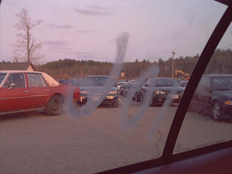 pulling up to the tree