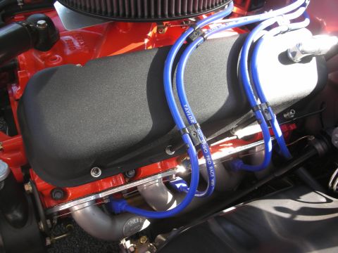 1998 Ford Crown Victoria - Engine detail with red block, black cover, and blue Taylor spark plug wires.